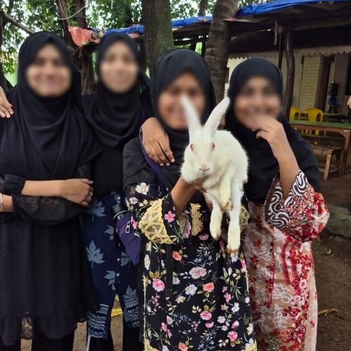 Students enjoyed with Rabbit